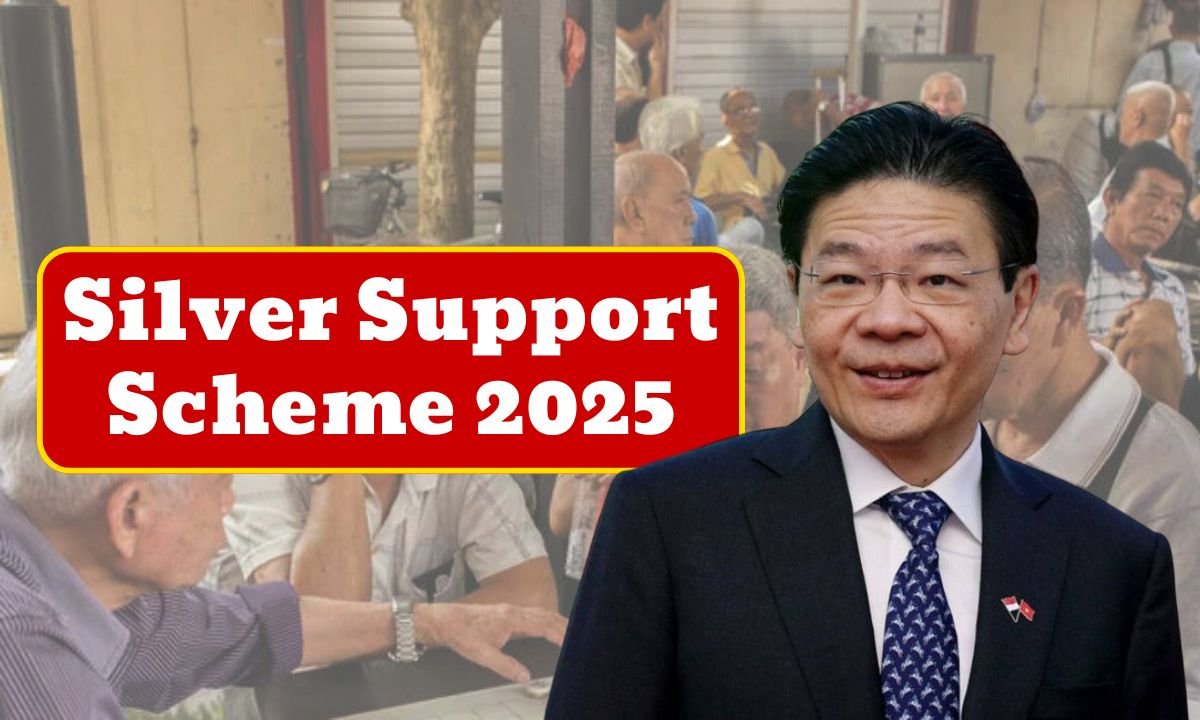 Silver Support Scheme 2025